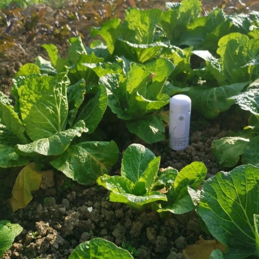 Датчик влажности и температуры для почвы, Zigbee view-6